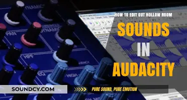 Eliminate Hollow Room Sounds in Audacity: A Step-by-Step Editing Guide