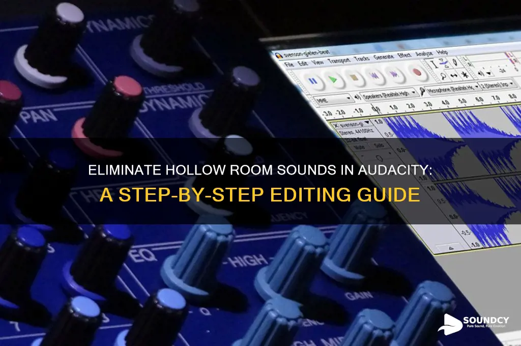 how to edit out hollow room sounds in audacity