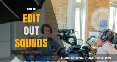 Mastering Audio Editing: Techniques to Seamlessly Remove Unwanted Sounds