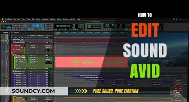 Mastering Audio Editing: A Comprehensive Guide to Using Avid Pro Tools