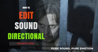 Mastering Sound Directional Editing: Techniques for Immersive Audio Design
