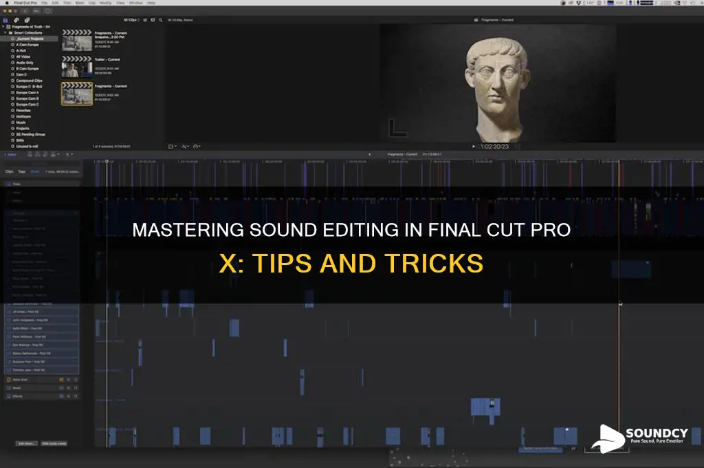 how to edit sound fcpx