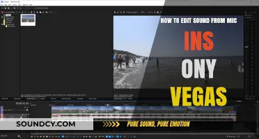 Mastering Mic Input Sound Editing in Sony Vegas Pro: A Guide
