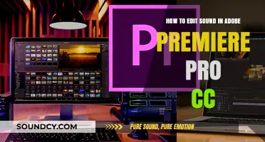 Mastering Audio Editing in Adobe Premiere Pro CC: A Comprehensive Guide