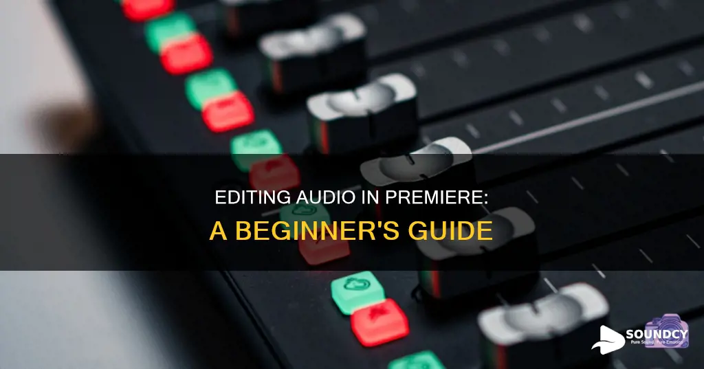 how to edit sound in premiere