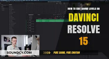 Mastering Audio Editing: Adjust Sound Levels in DaVinci Resolve 15