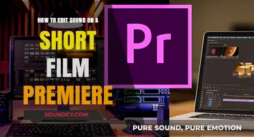 Mastering Sound Editing in Premiere Pro for Short Films