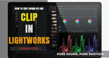 Mastering Sound Editing: Lightworks Single Clip Audio Adjustment Guide