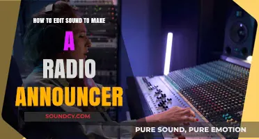 Mastering Radio Announcer Voice: Essential Sound Editing Techniques Revealed