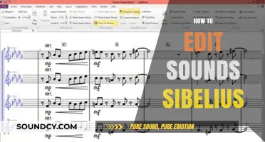 Mastering Sibelius: Essential Techniques for Editing Sounds Effectively