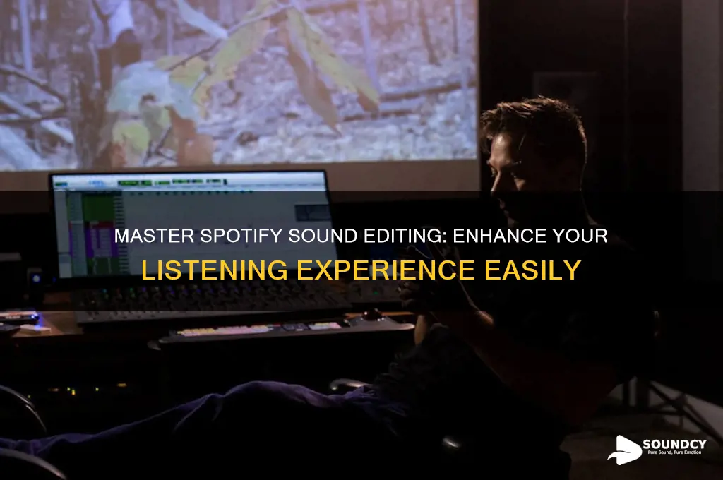 how to edit spotify sound