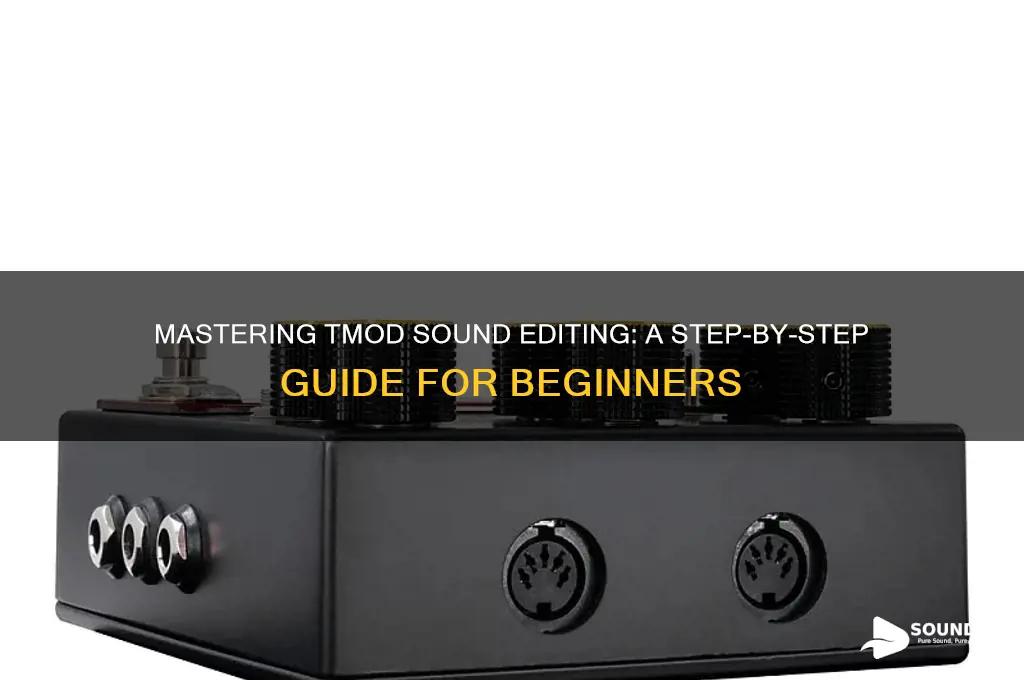 how to edit tmod sounds
