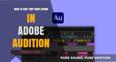 Master Trip Crop Sound Editing in Adobe Audition: A Step-by-Step Guide