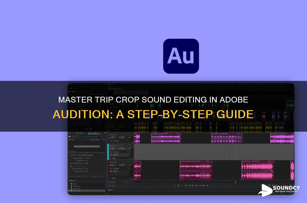 how to edit trip crop sound in adobe audition
