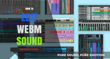 Mastering WebM Audio Editing: A Step-by-Step Guide for Beginners