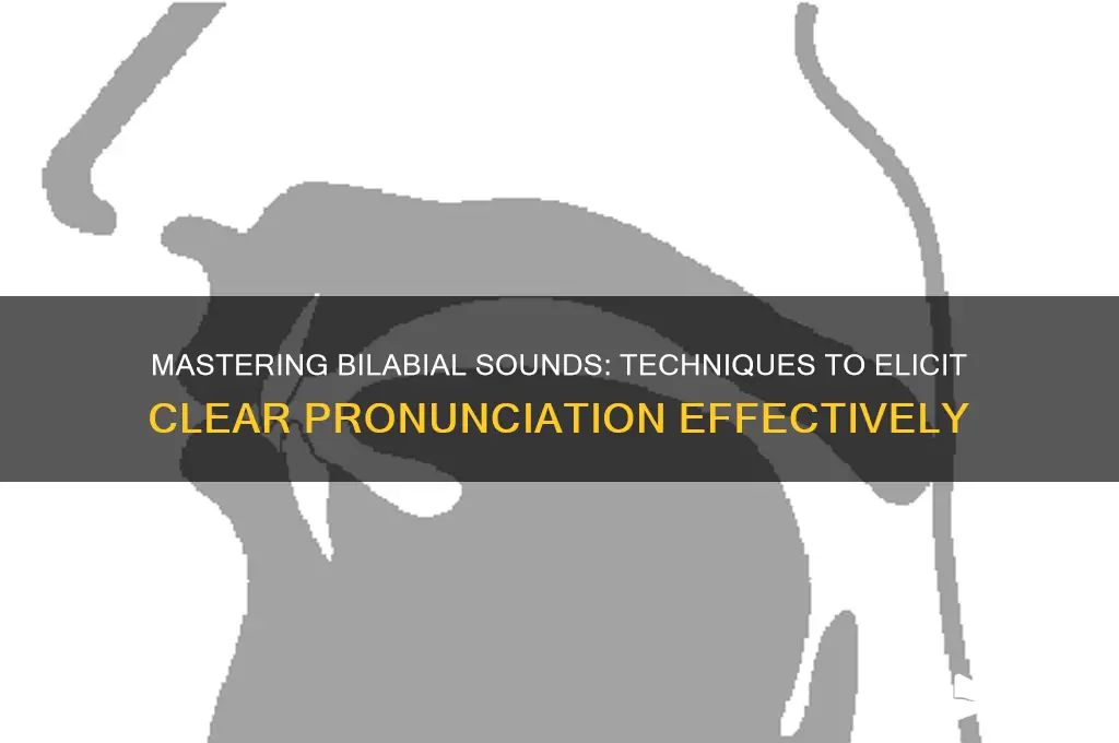 how to elicit bilabial sounds