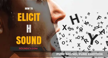 Mastering the H Sound: Effective Techniques for Clear Articulation