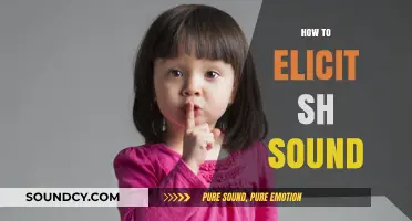 Mastering the 'Sh' Sound: Effective Techniques for Clear Articulation