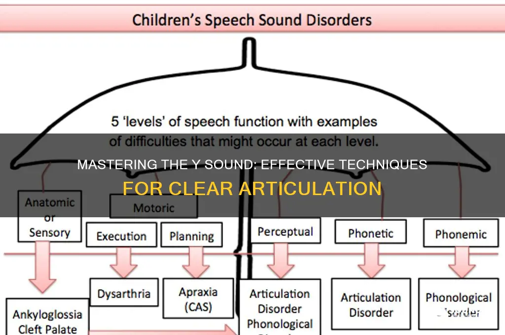 how to elicit y sound