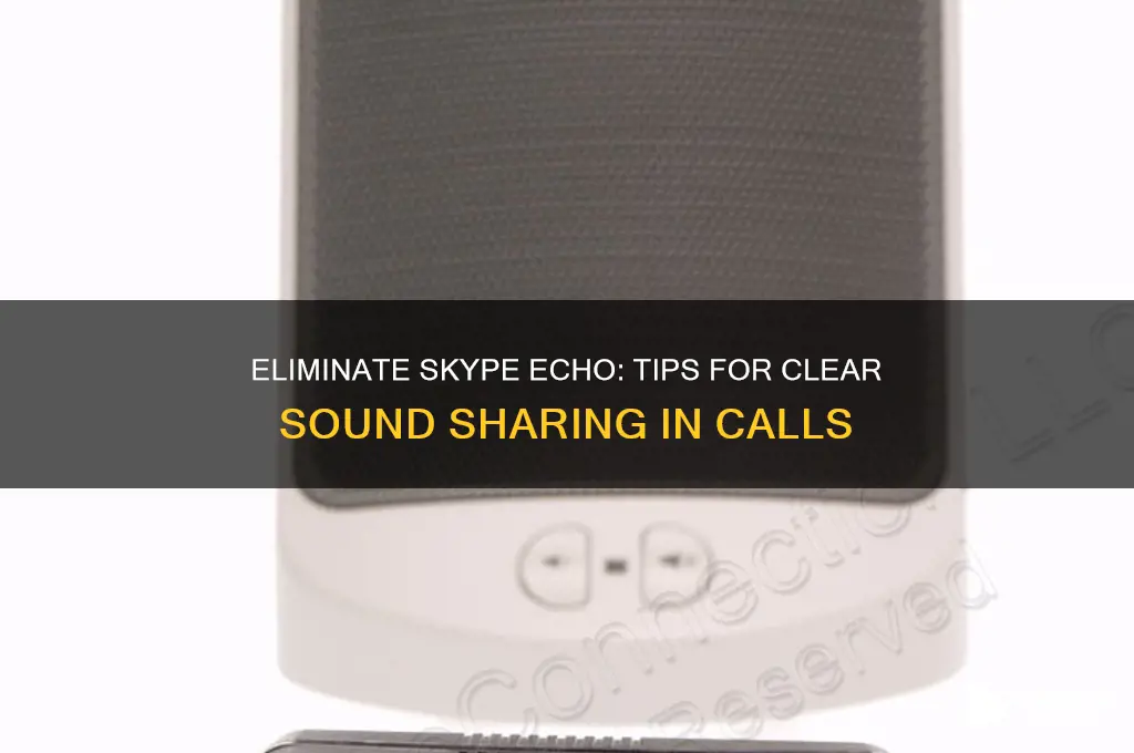 how to eliminate echo when sharing sound on skype