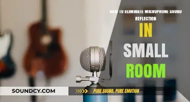 Eliminate Microphone Sound Reflection: Tips for Small Room Recording