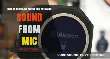 Silence Your Setup: Eliminate Mouse and Keyboard Noise from Your Mic