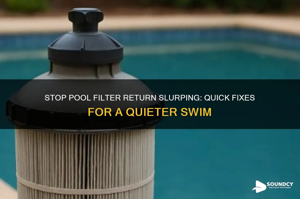 how to eliminate slurping sound form pool filter return