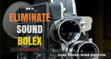 Effective Techniques to Eliminate Sound Bolex in Your Recordings