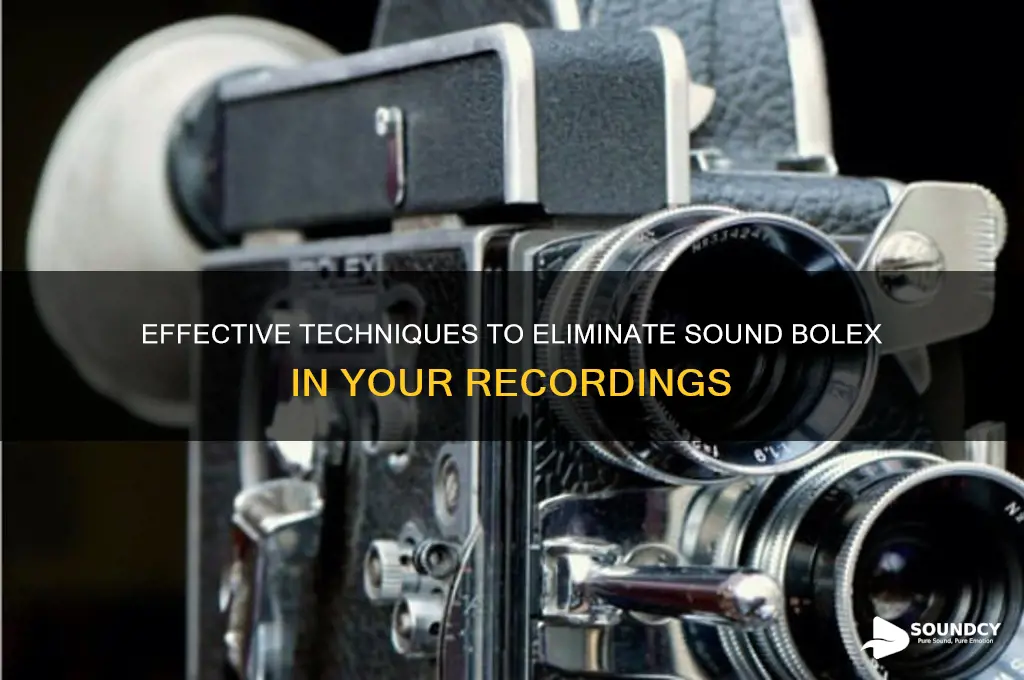 how to eliminate sound bolex