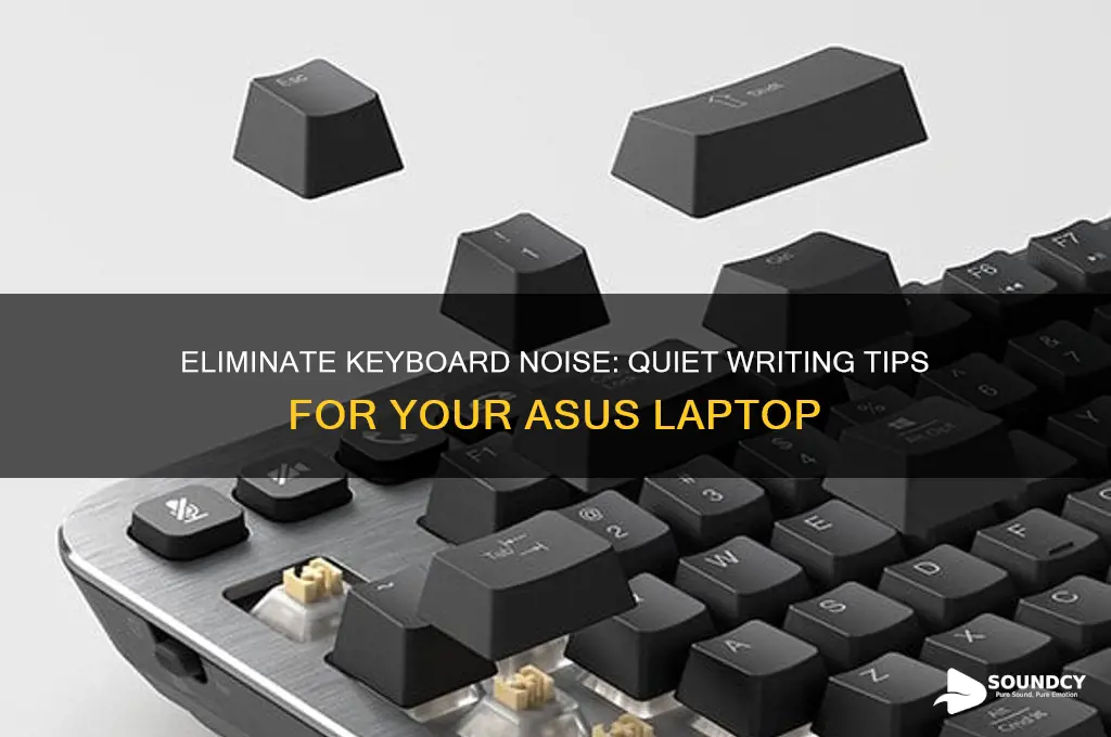 how to eliminate sound for writing in asus laptop