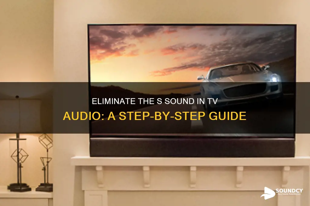 how to eliminate the s sound in tv audio