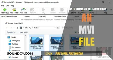 Effective Methods to Remove Audio from MVI Files Easily