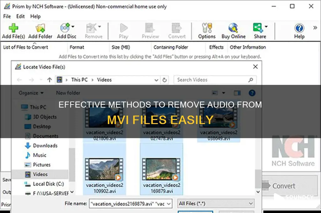 how to eliminate the sound from an mvi file
