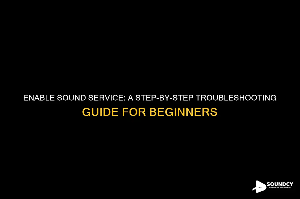how to enabe sound service
