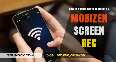 Enable Mobizen Internal Sound: A Quick Screen Recording Guide