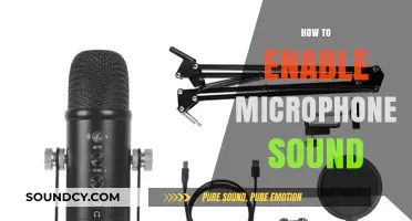 Quick Guide: Enabling Microphone Sound for Clear Communication