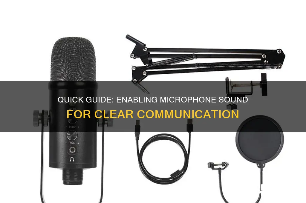 how to enable microphone sound