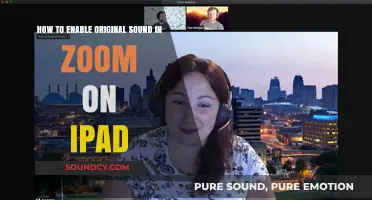 Enable Original Sound in Zoom on iPad: A Quick Guide