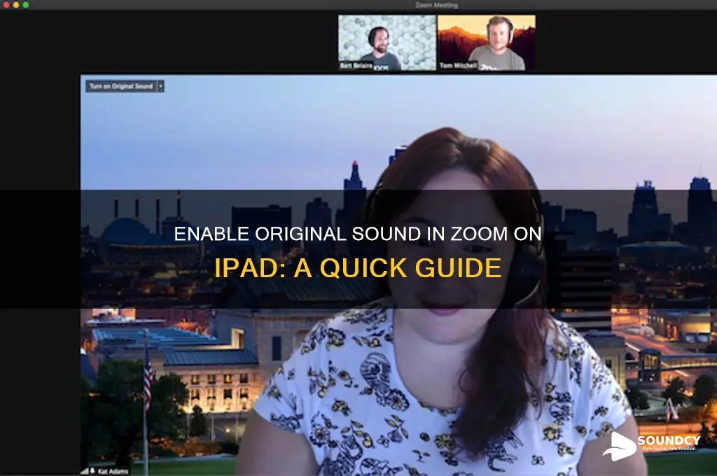 how to enable original sound in zoom on ipad