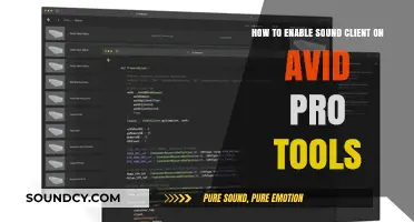 Enable Sound Client in Avid Pro Tools: A Step-by-Step Guide