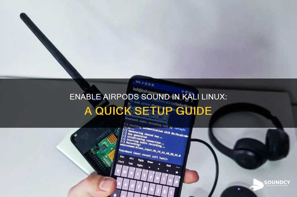 how to enable sound in airpods in kali linux