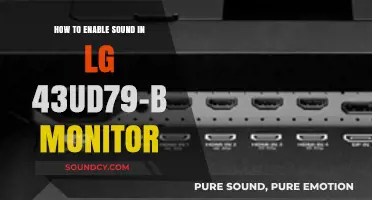 Enable Sound on Your LG 43UD79-B Monitor: A Quick Guide