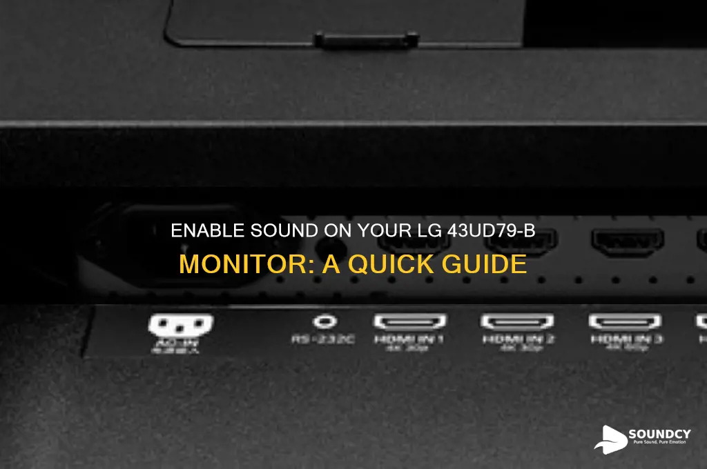 how to enable sound in lg 43ud79-b monitor