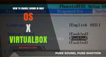 Enable Sound in Mac OS X VirtualBox: A Step-by-Step Guide