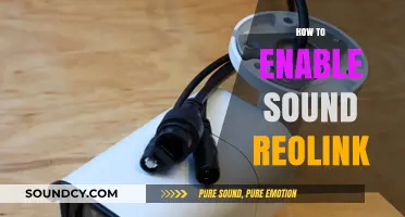 Enable Sound on Reolink Cameras: A Step-by-Step Guide