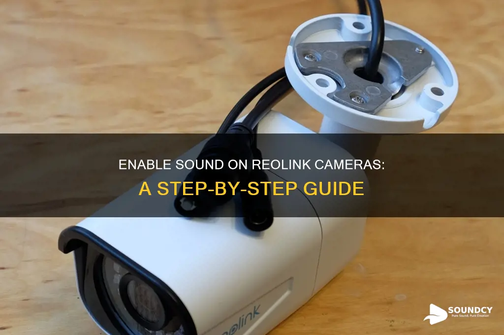 how to enable sound reolink