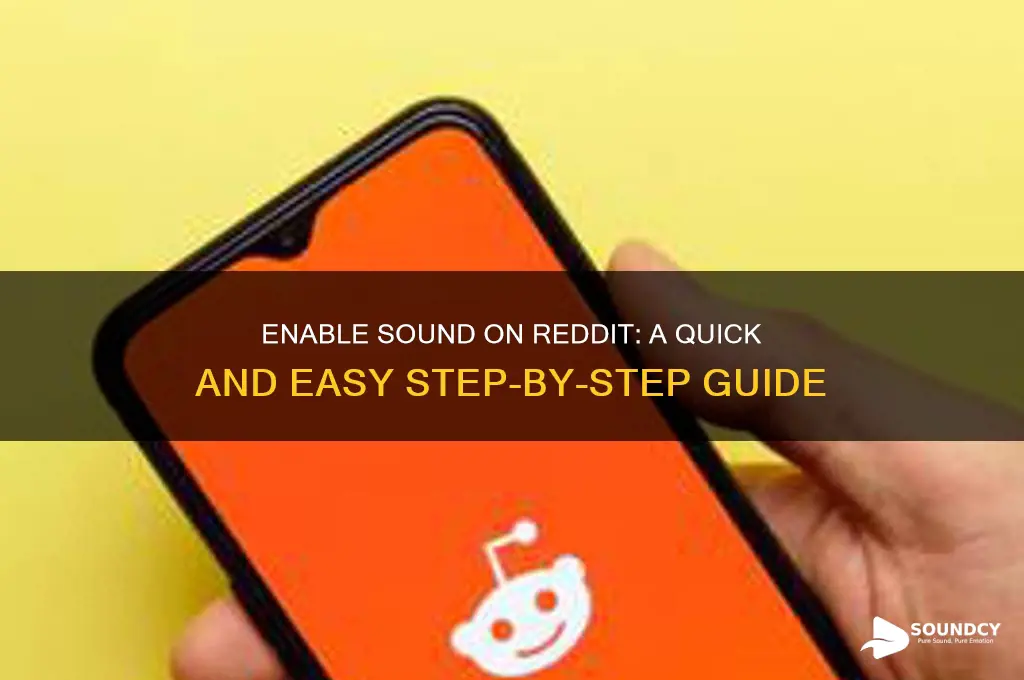 how to enable sound rwddit