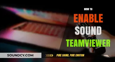 Enable Sound in TeamViewer: A Quick Step-by-Step Guide
