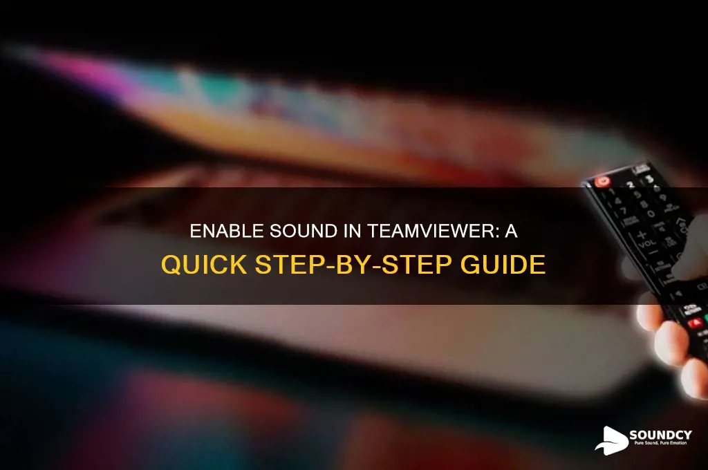 how to enable sound teamviewer