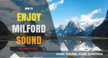 Exploring Milford Sound: Tips for an Unforgettable Adventure in Nature's Paradise